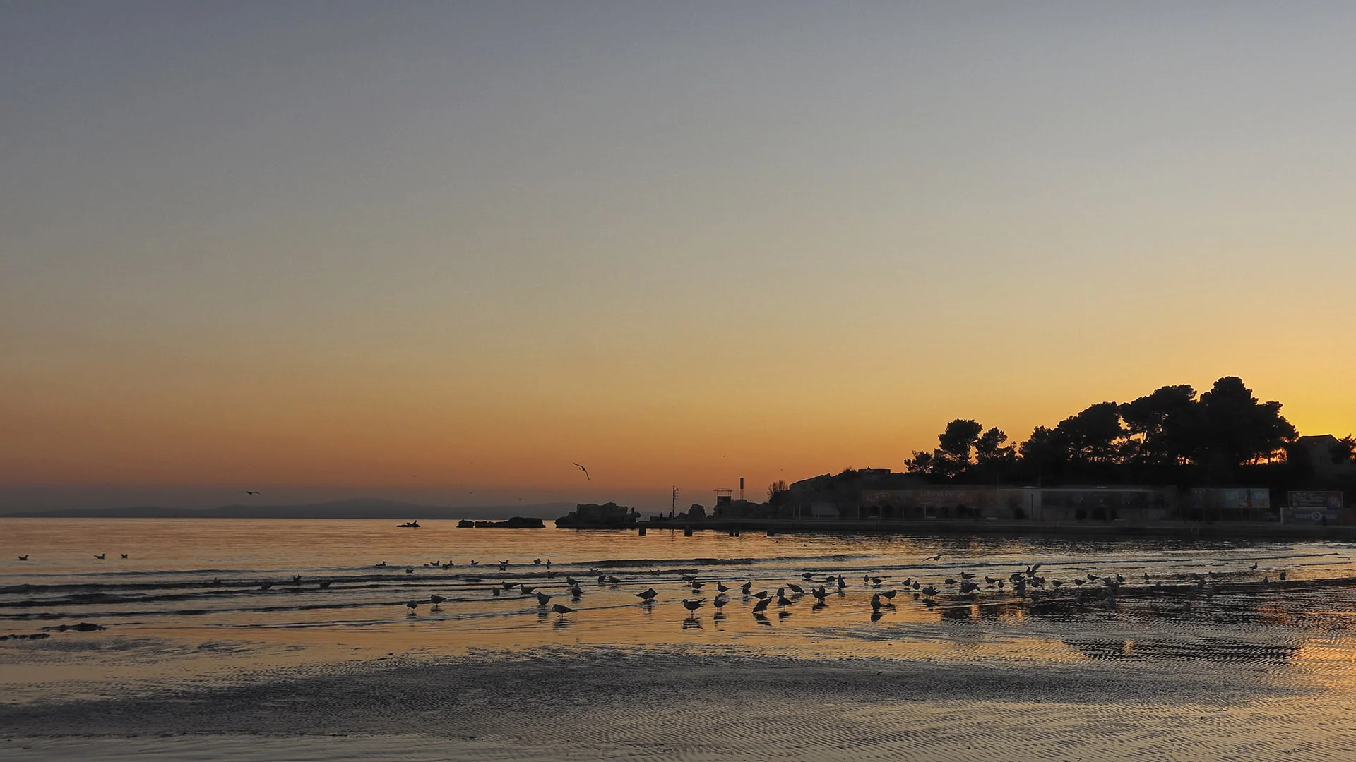 Shorelines